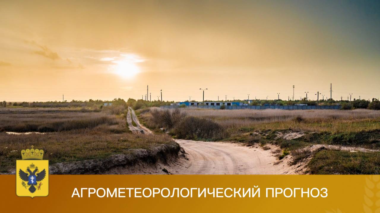 Росгидромет информирует о наиболее вероятных климатических условиях в период с 8 по 16 ноября 2035 года