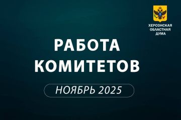 Поддержали не всё: Комитет по социальной политике рассмотрел федеральные инициативы