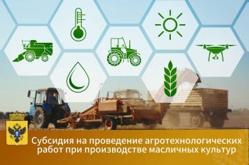 Министерство АПК Херсонской области начинает прием заявок на получение субсидии на проведение агротехнологических работ при производстве масличных культур