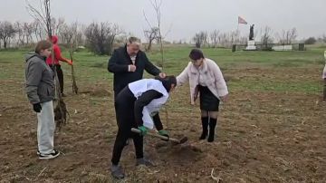 «Сад памяти» в Новогригоровке: 80 деревьев к 80-летию Победы