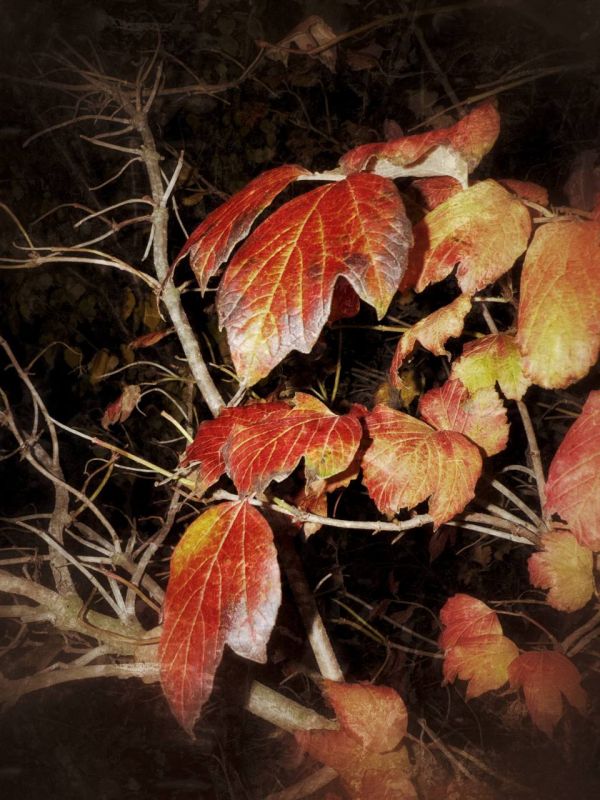 ���� ���������: ���������� �������. ������ 2025