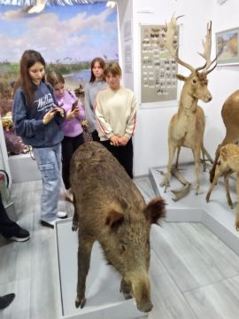Поездка в краеведческий музей г. Геническ!