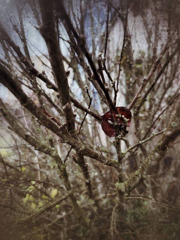 ���� ���������: ���������� �������. ������ 2025