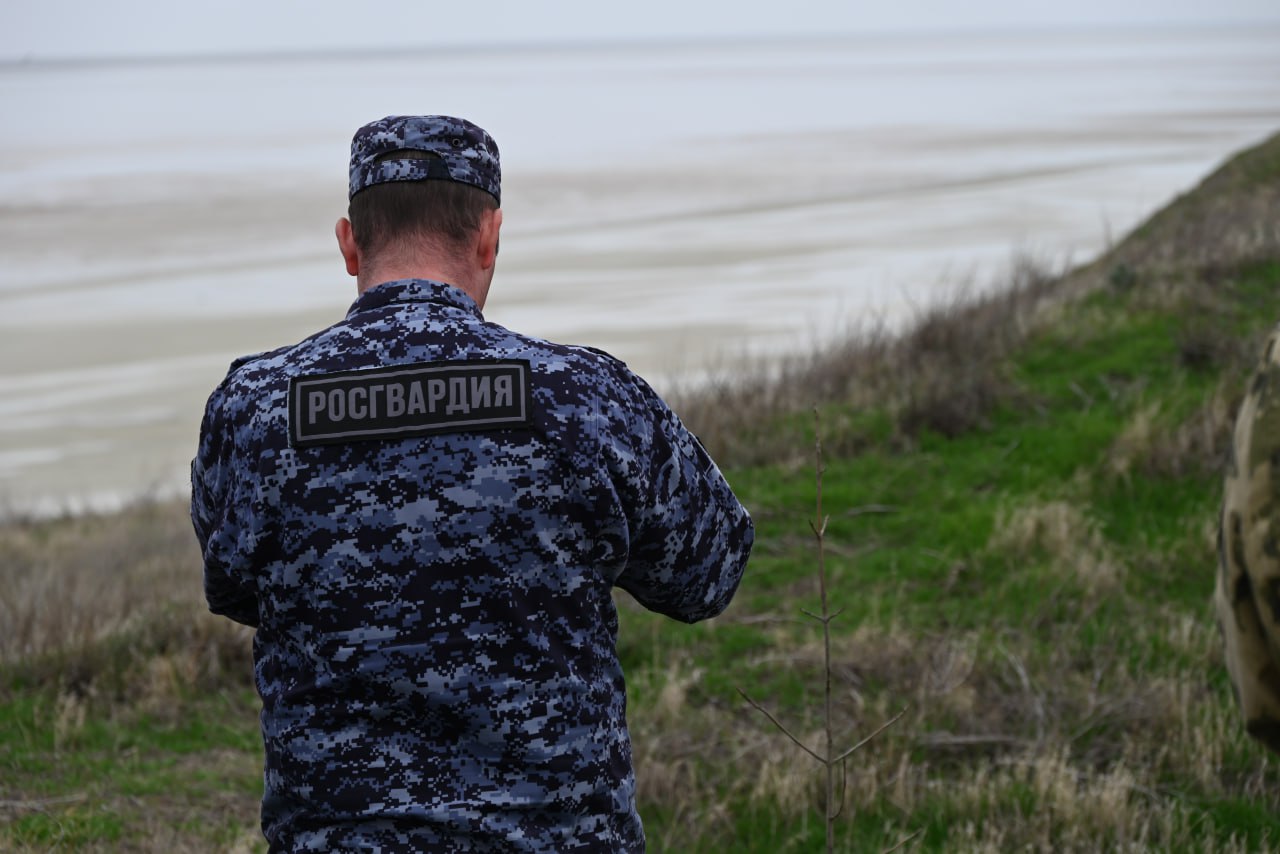 Саженцы Ясеня высадили у обелиска памяти на мысе Кутара Саженцы Ясеня высадили у обелиска памяти на мысе Кутара