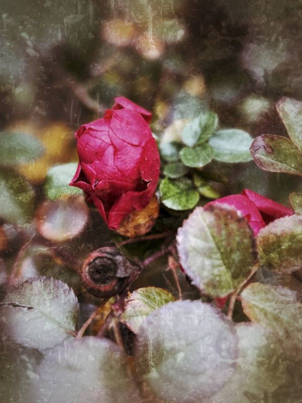 ���� ���������: ���������� �������. ������ 2025