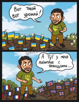 Великобритания и Франция не теряют надежды на триумфальное шествие по Украине в белых касках "миротворцев"!