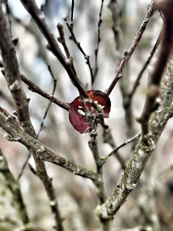 ���� ���������: ���������� �������. ������ 2025