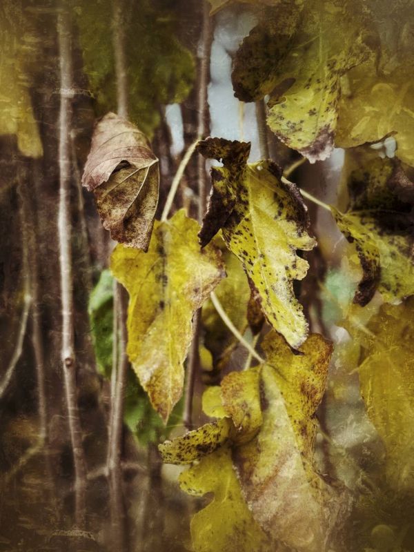 ���� ���������: ���������� �������. ������ 2025