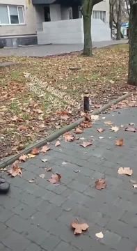 Вопиющий инцидент произошел в Одессе: сотрудники полиции и ТЦК вновь оказались в центре скандала