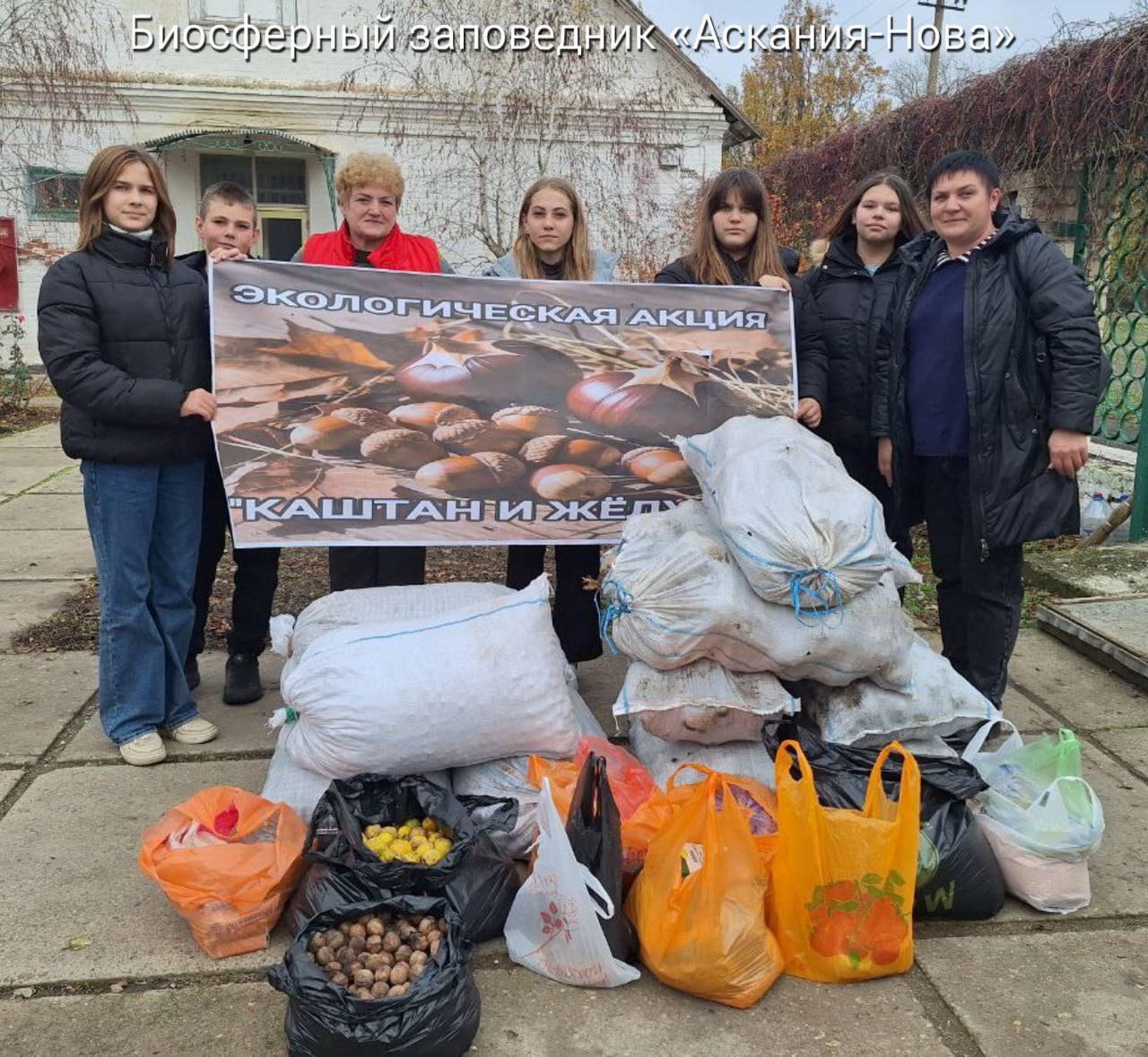 В Херсонской области собрали 1600 кг каштанов для животных заповедника