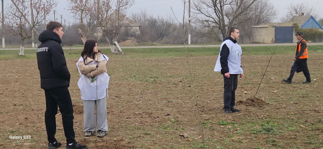 «Сад памяти» в Новогригоровке: 80 деревьев к 80-летию Победы «Сад памяти» в Новогригоровке: 80 деревьев к 80-летию Победы