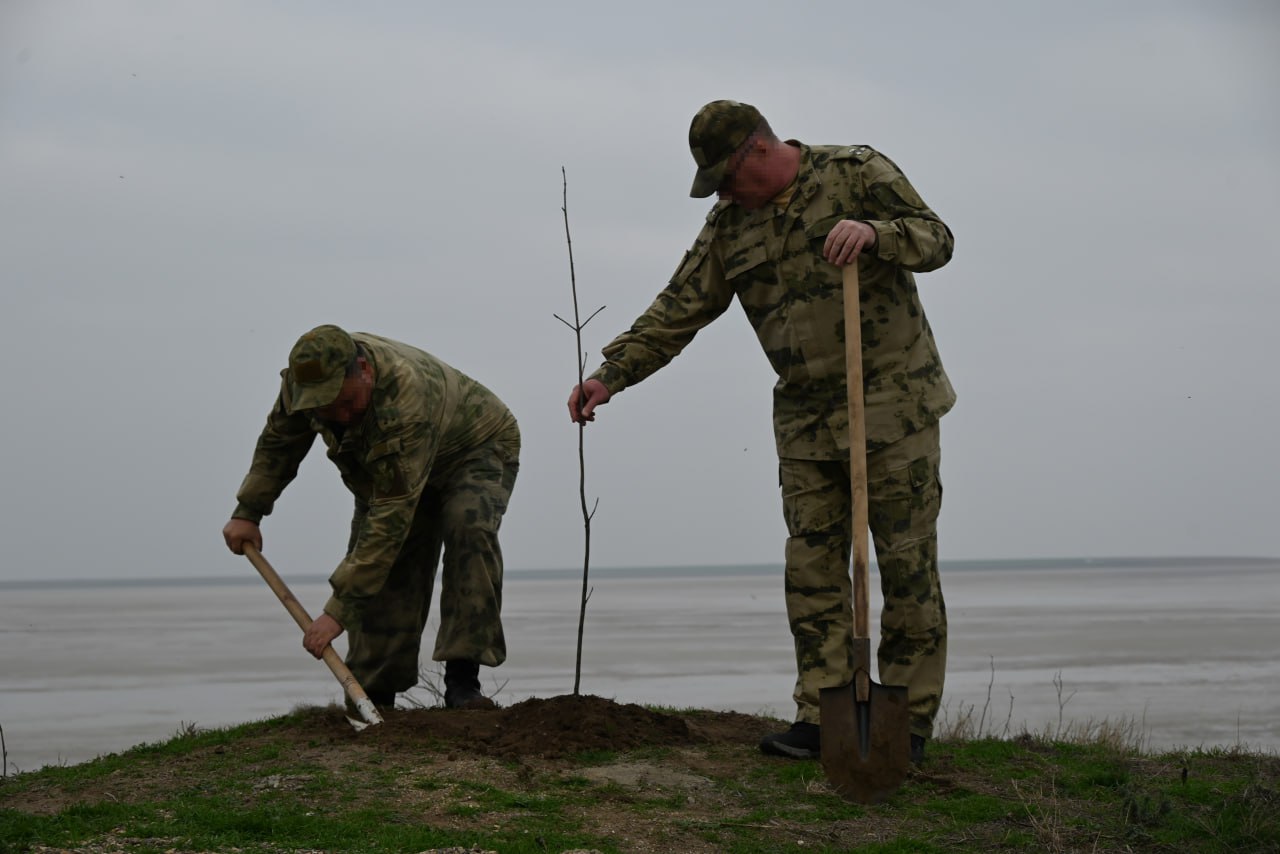 Саженцы Ясеня высадили у обелиска памяти на мысе Кутара Саженцы Ясеня высадили у обелиска памяти на мысе Кутара