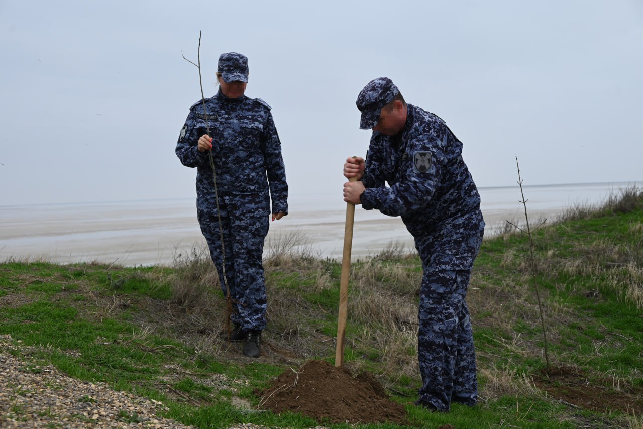 Саженцы Ясеня высадили у обелиска памяти на мысе Кутара Саженцы Ясеня высадили у обелиска памяти на мысе Кутара