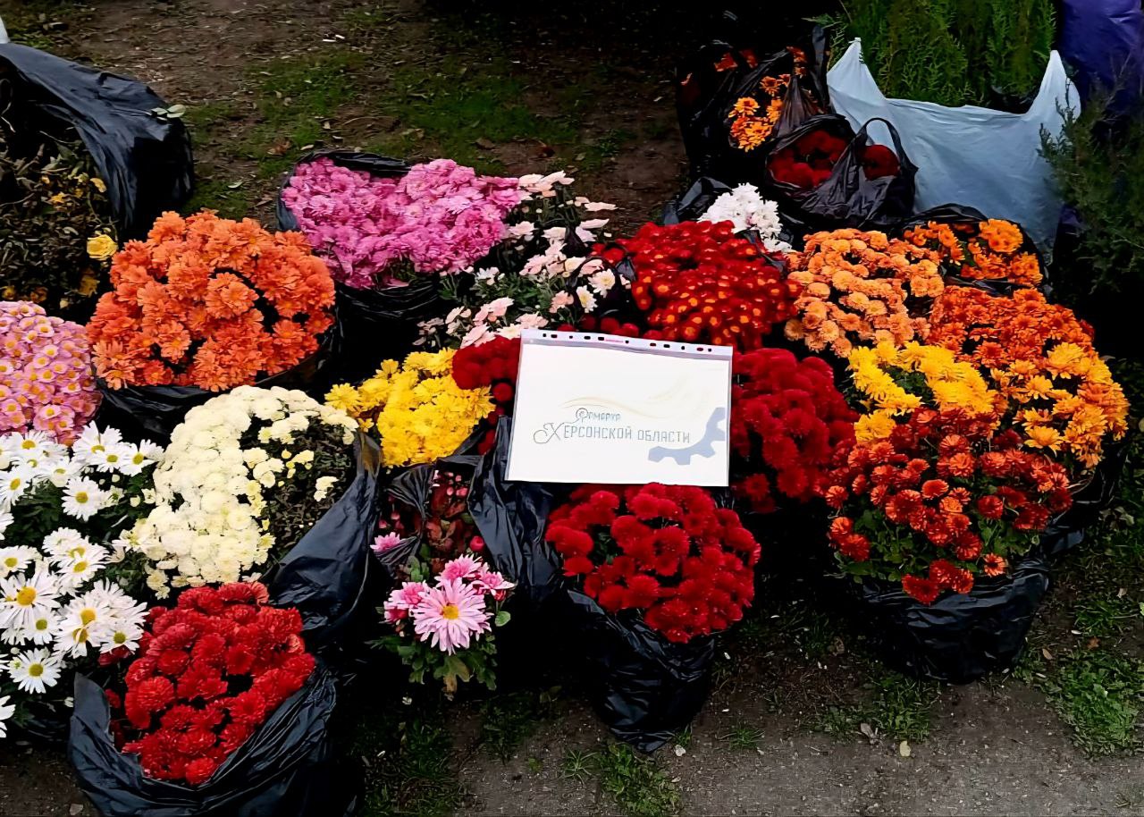 Ярмарки на Левобережье Херсонской области - 54 постоянно действующие площадки, где каждый день начинается с движения и улыбок! Ярмарки на Левобережье Херсонской области - 54 постоянно действующие площадки, где каждый день начинается с движения и улыбок!