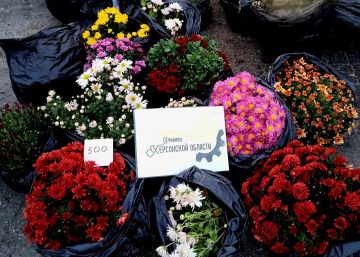 Ярмарки на Левобережье Херсонской области - 54 постоянно действующие площадки, где каждый день начинается с движения и улыбок!