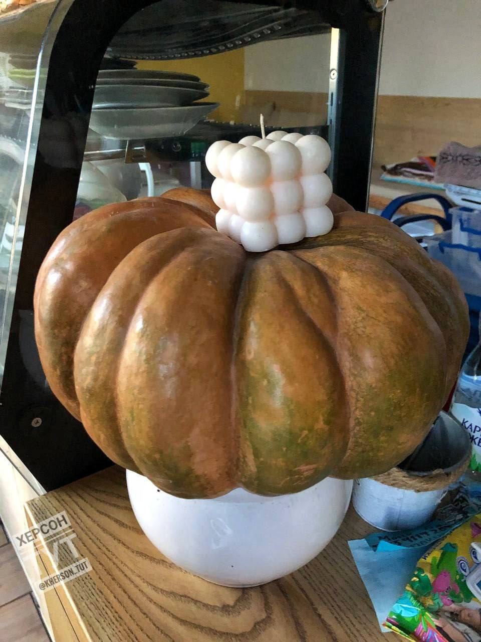 Осень на Херсонщине — это очень красиво Осень на Херсонщине — это очень красиво