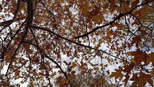 Доброе утро, жители нашего замечательного Каховского округа!