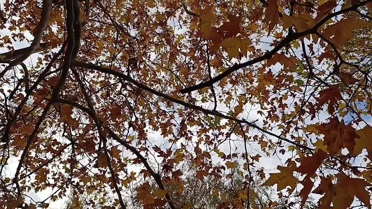 Доброе утро, жители нашего замечательного Каховского округа!