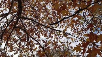 Доброе утро, жители нашего замечательного Каховского округа!