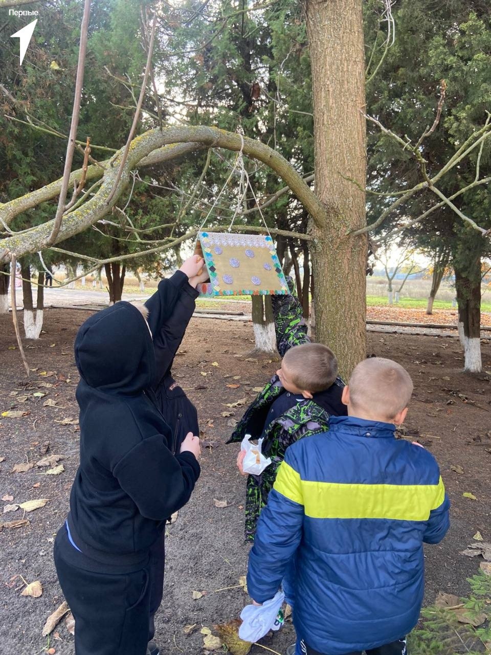 Первые Лазурненской школы отметили Синичкин день Первые Лазурненской школы отметили Синичкин день