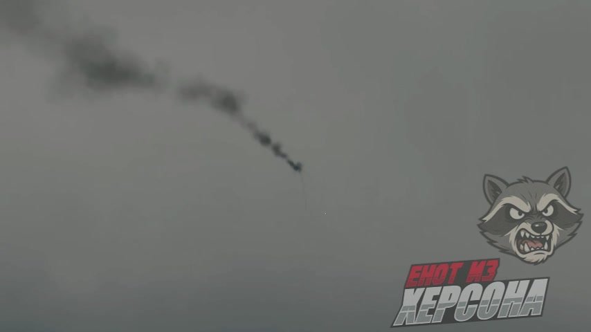 Енот из Херсона: Наши зенитчики сбили вражеский дрон-разведчик над Херсонской областью