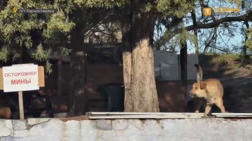 Губернатор Владимир Сальдо посетил Дом культуры в Горностаевке