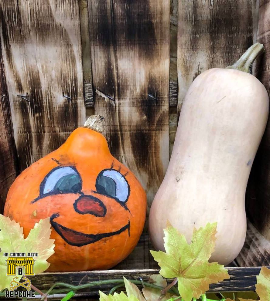 Осень на Херсонщине — это очень красиво Осень на Херсонщине — это очень красиво