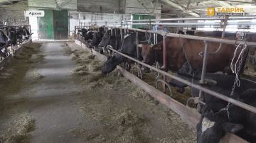 Аграриям Херсонской области возместят часть затрат на производство молока