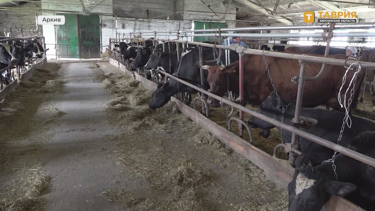 Аграриям Херсонской области возместят часть затрат на производство молока