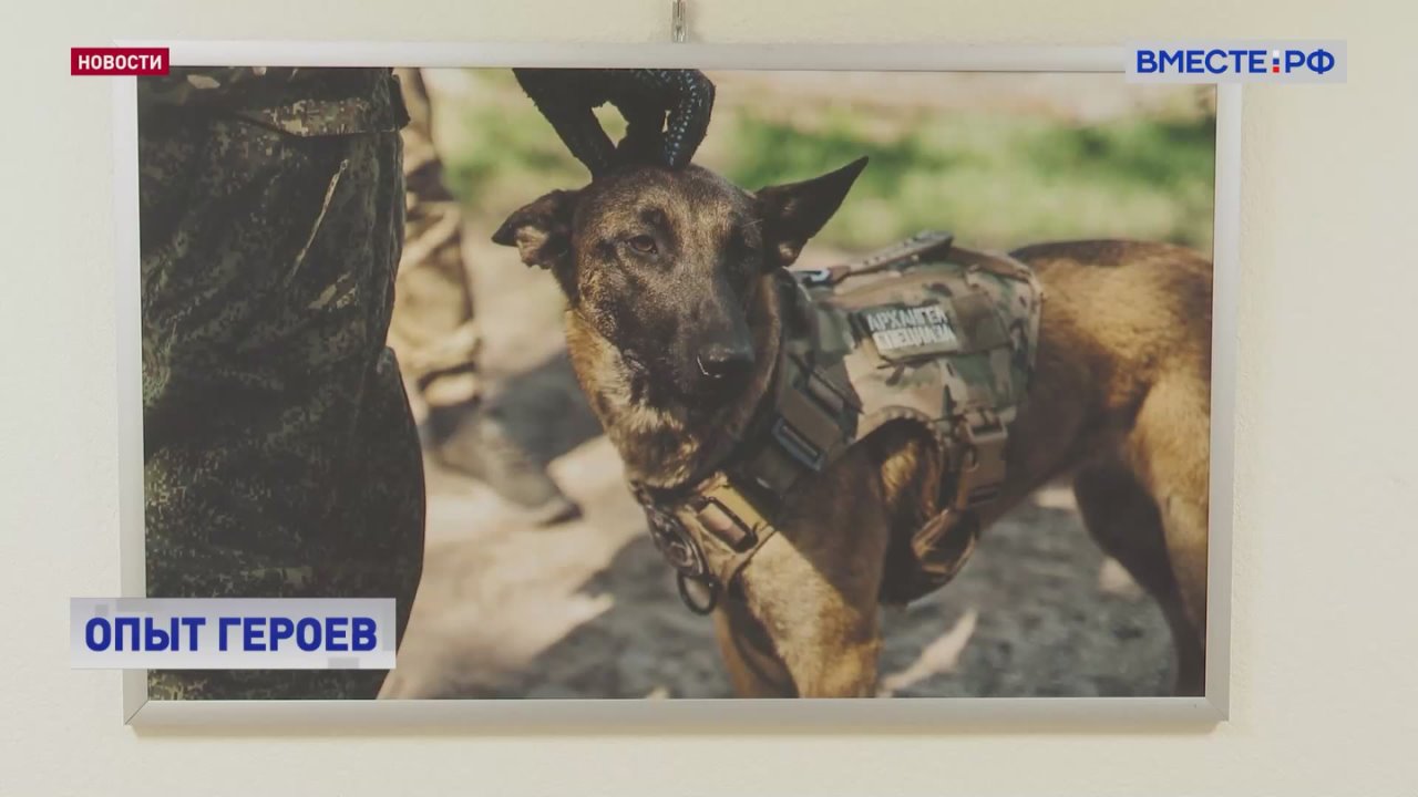 В Совете Федерации открылась фотовыставка добровольческой штурмовой бригады «Ветераны»