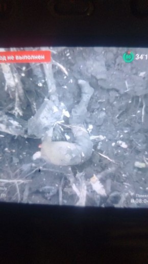 Уснул немного. Телеграм-канал Херсонский Вестник