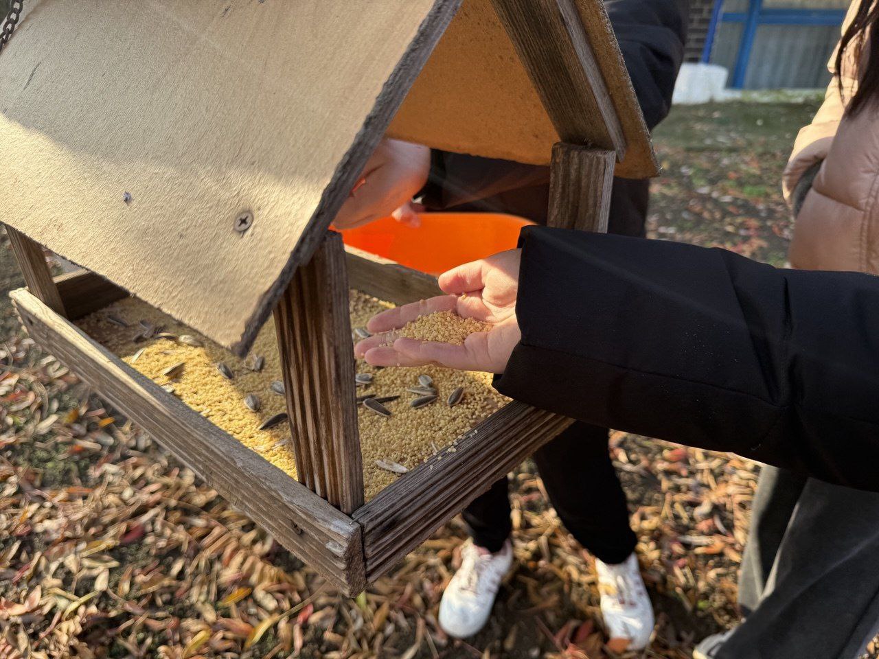 В Костогрызовском сельском клубе прошла экологическая акция «Покормите птиц» В Костогрызовском сельском клубе прошла экологическая акция «Покормите птиц»