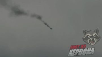 Енот из Херсона: Наши зенитчики сбили вражеский дрон-разведчик над Херсонской областью