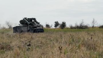 ЗРК "Оса-АКМ" сбил дрон H10 Poseidon ВСУ в Херсонской области