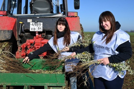 Всероссийская акция "Сохраним лес" стартовала в Херсонской области