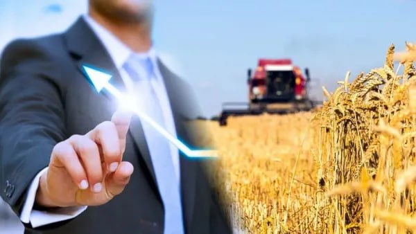 Новые горизонты для воинов: бизнес в агропромышленном комплексе