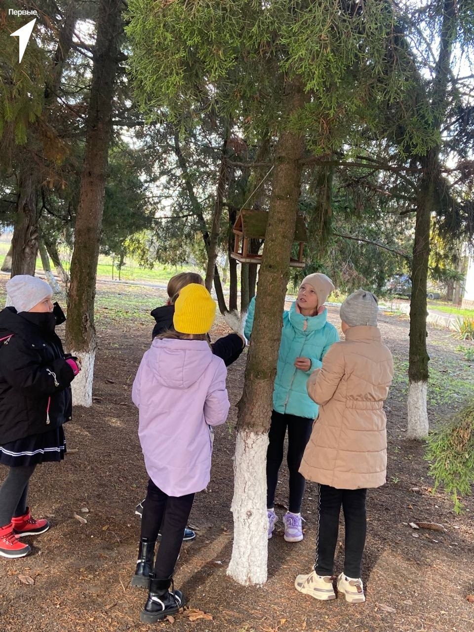 Первые Лазурненской школы отметили Синичкин день Первые Лазурненской школы отметили Синичкин день