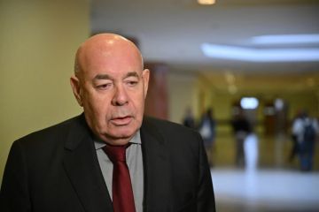 Швыдкой: Приезд Анджелины Джоли в Херсон связан с проблемами ВСУ