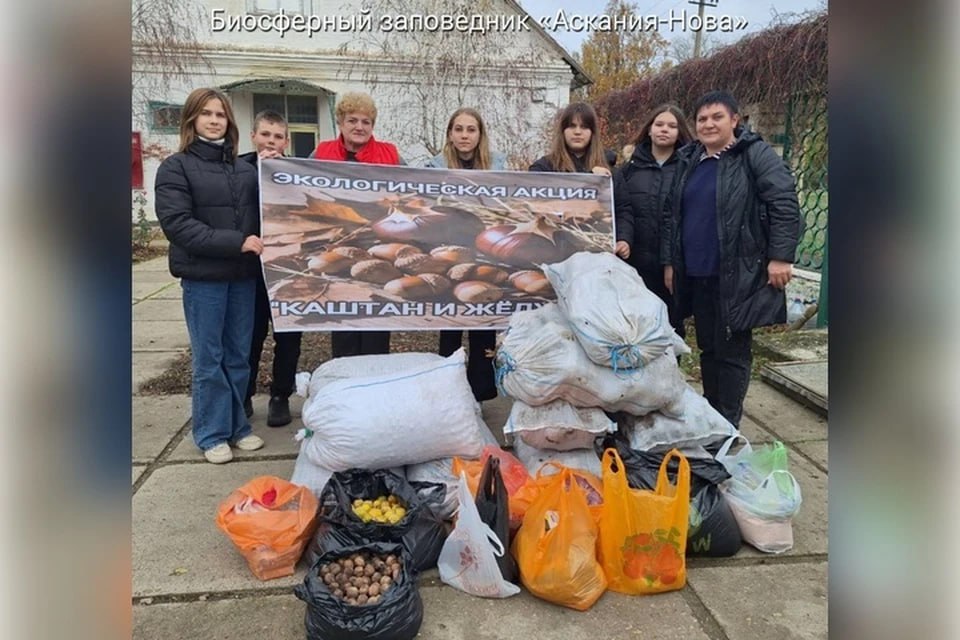 Херсонские дети собрали 1,6 тонны каштанов для животных «Аскания-Нова»