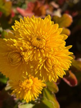  !.         ,    ,    - 