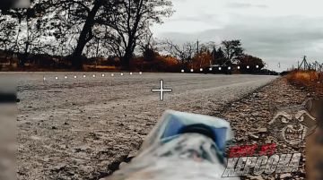 Енот из Херсона: Херсон и окрестности. Автоподставы для осмелевших всушников, решивших, что можно спокойно разъезжать по улицам Херсона