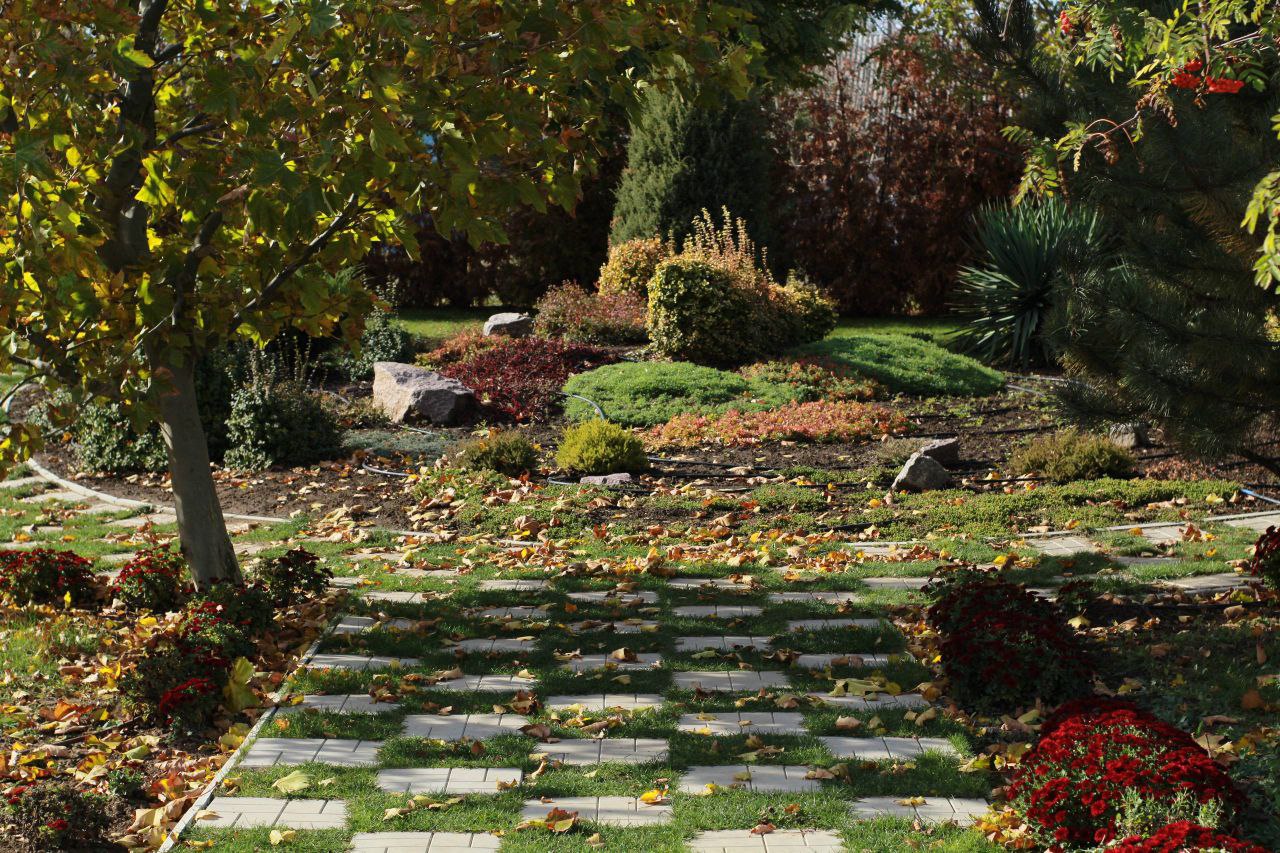 Ещё немного осенней красоты - от нашего подписчика Евгения из Тавричанки