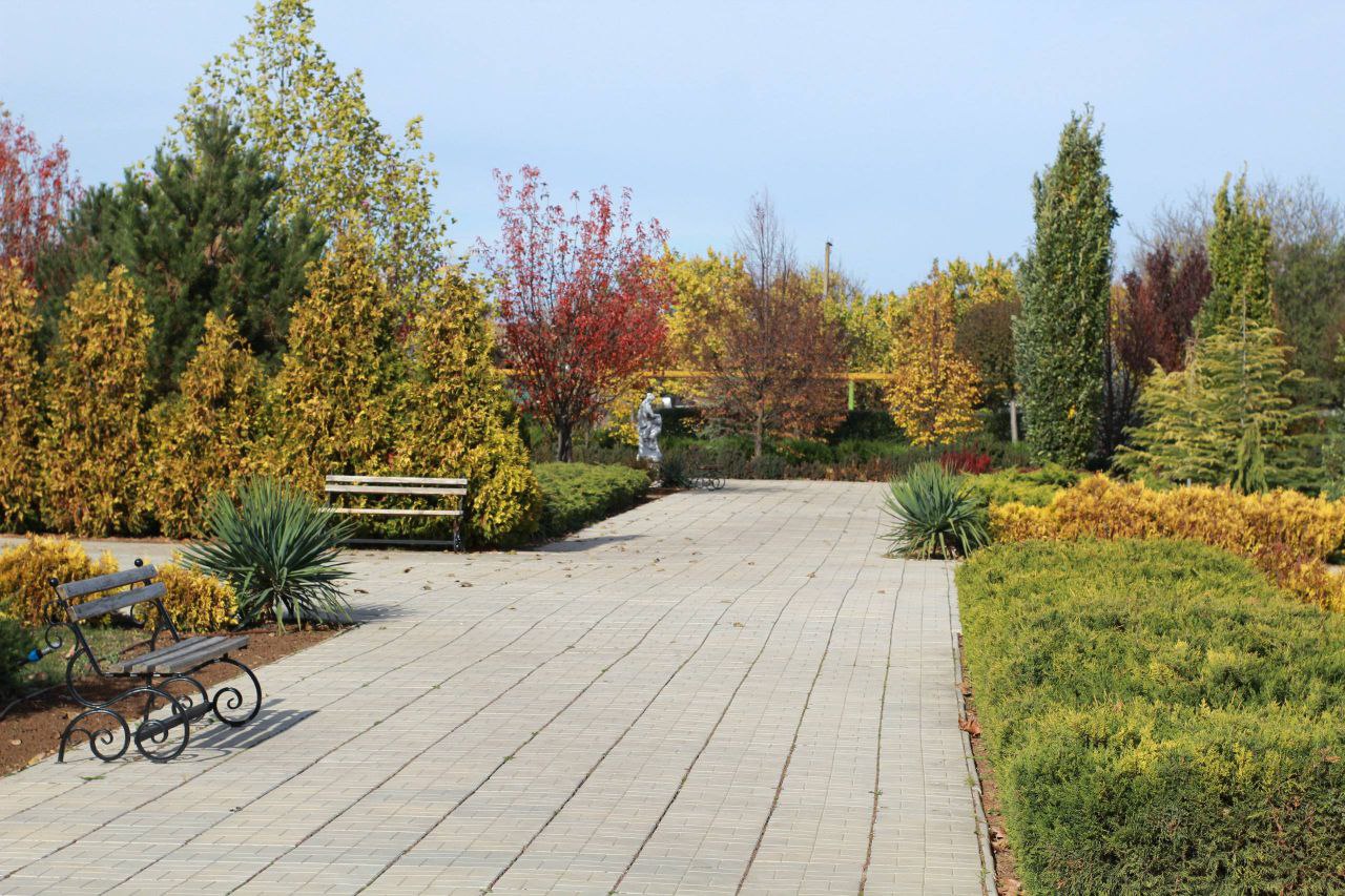 Ещё немного осенней красоты - от нашего подписчика Евгения из Тавричанки Ещё немного осенней красоты - от нашего подписчика Евгения из Тавричанки