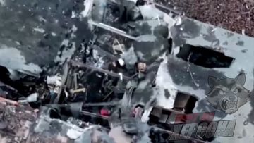 Енот из Херсона: Документальный фильм Гараж