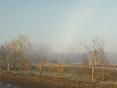 Анна Долгарева: Туман.. Херсонская область, ноябрь 2025