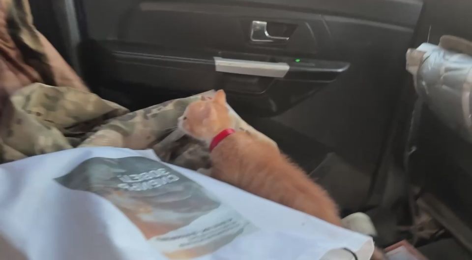 ���� ���������: �������� ����. ������ �������