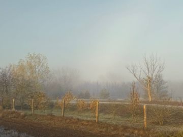 Анна Долгарева: Туман.. Херсонская область, ноябрь 2025