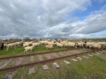 Ольга Симанова: Сегодня открылась совершенно необычная Евпатория и ее окрестности