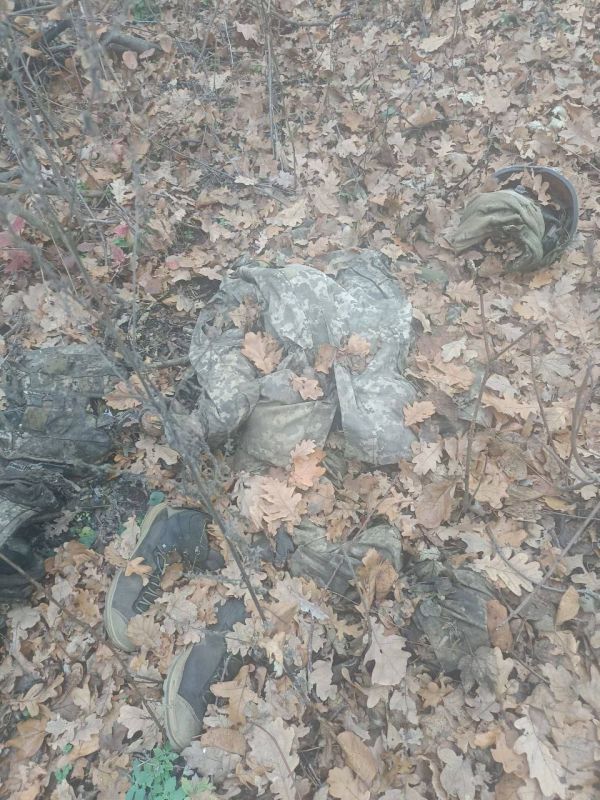 ����� � ������. ��������-����� ���������� �������