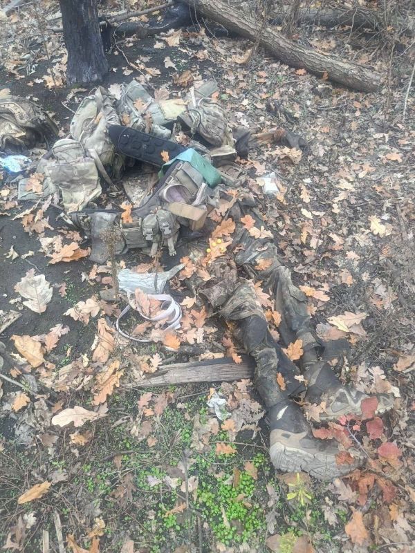 ����� � ������. ��������-����� ���������� �������